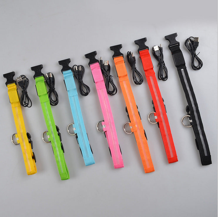 Rechargeable LED Luminous Glow in the Dark Collar