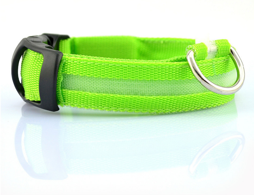 Rechargeable LED Luminous Glow in the Dark Collar