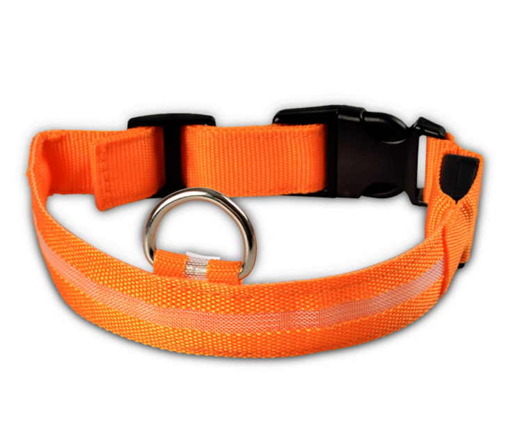 Rechargeable LED Luminous Glow in the Dark Collar