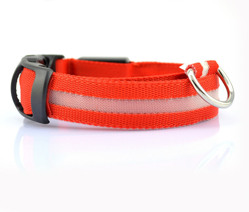 Rechargeable LED Luminous Glow in the Dark Collar