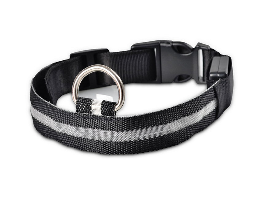 Rechargeable LED Luminous Glow in the Dark Collar
