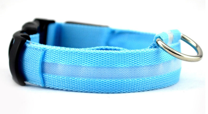 Rechargeable LED Luminous Glow in the Dark Collar