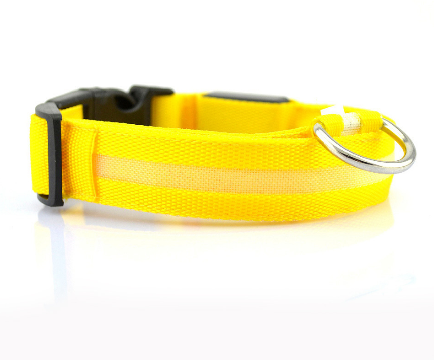 Rechargeable LED Luminous Glow in the Dark Collar