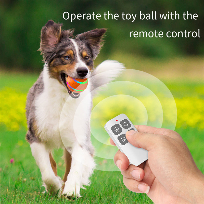 Rechargeable Toy Ball with Intelligent Self Movement