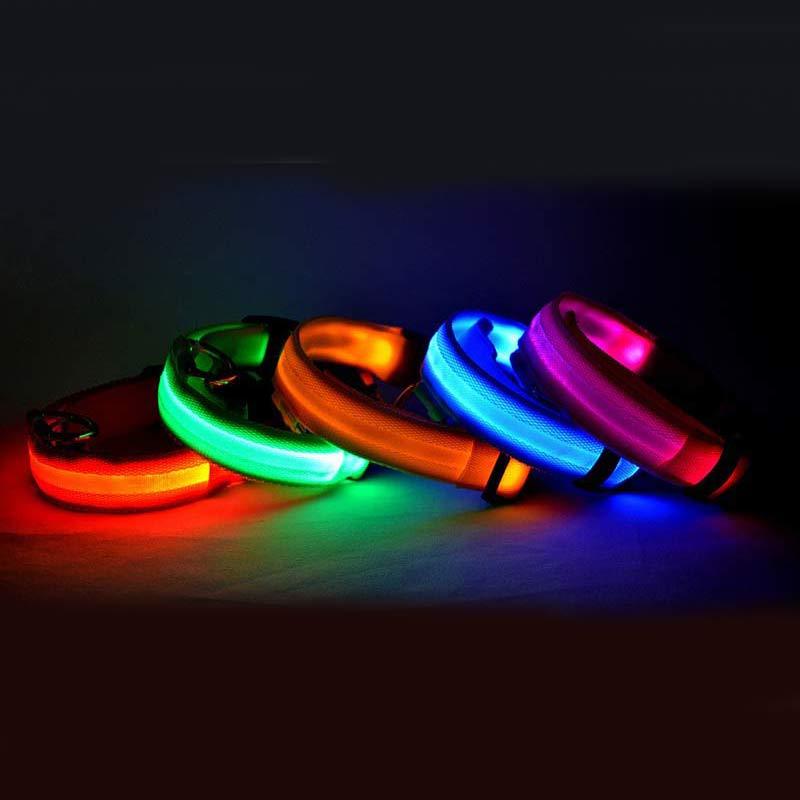 Rechargeable LED Luminous Glow in the Dark Collar