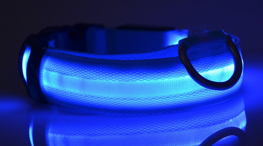 Rechargeable LED Luminous Glow in the Dark Collar