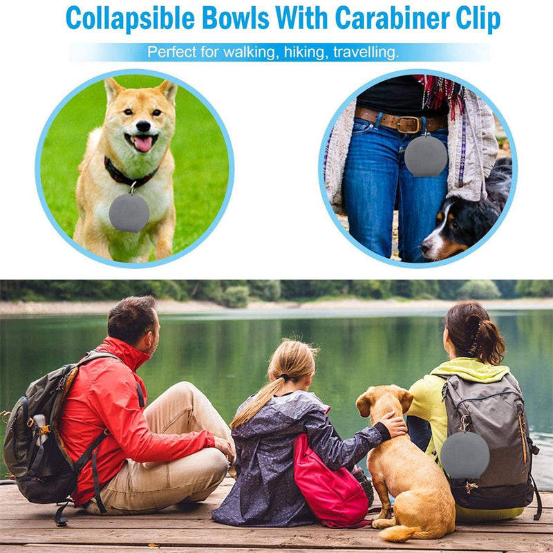Silicone Collapsible and Foldable Double Pet Bowl