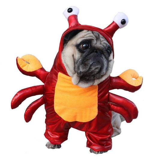 CrabTails™️: The Ultimate Halloween Transformation Costume for Pets - Petopia Online