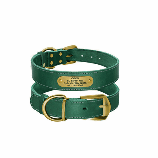Personalized Nameplate Dog Collars