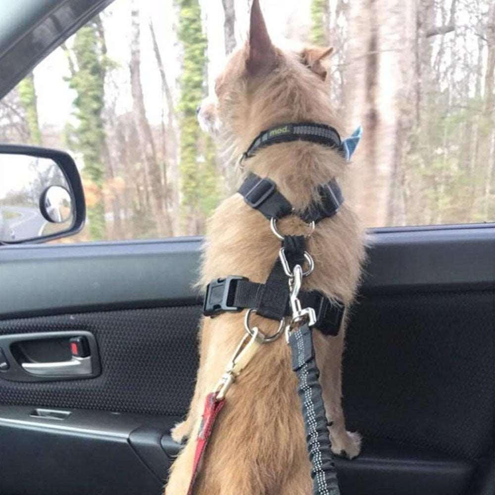 SafePaws Adjustable Dog Car Seat Belt