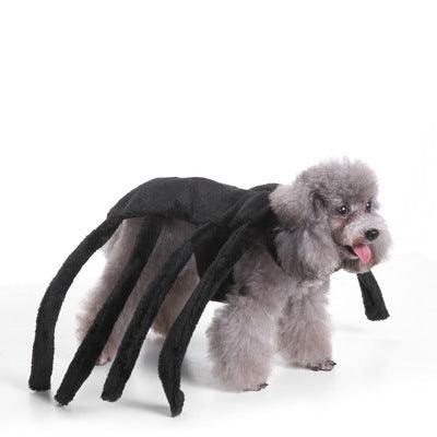 SeasonalPaws™️: The Ultimate Halloween Combo Pet Apparel - Petopia Online